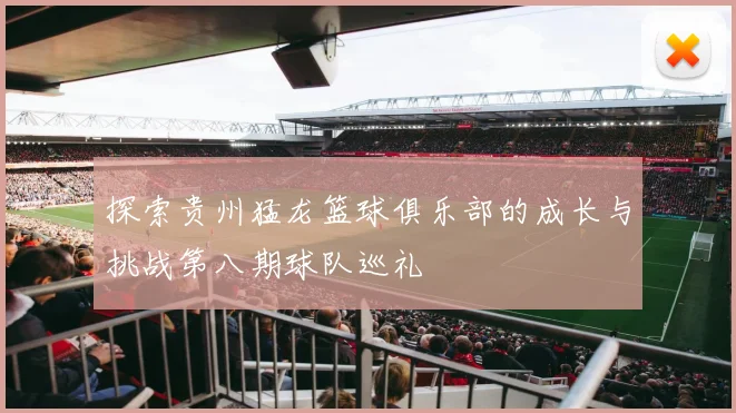 探索贵州猛龙篮球俱乐部的成长与挑战第八期球队巡礼