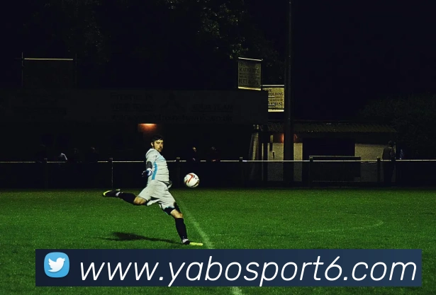 亚博体育APP 封面图